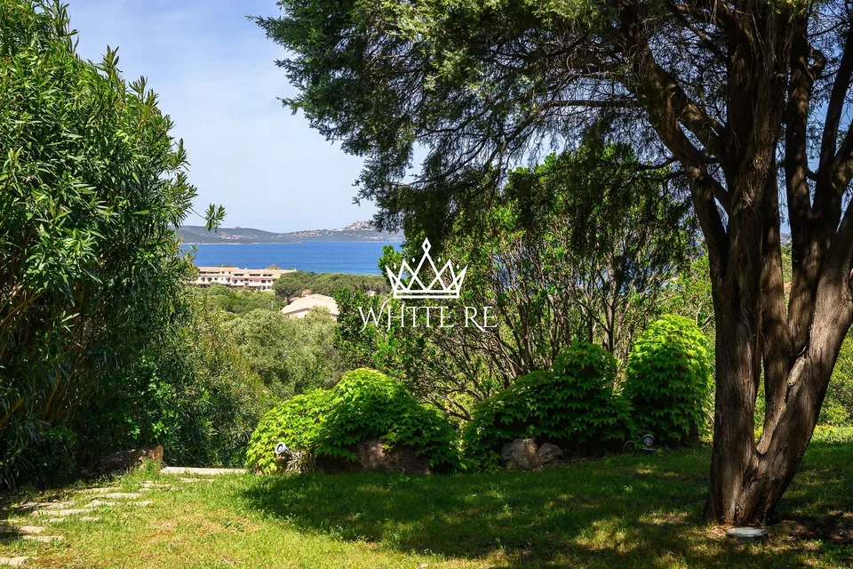 Scorcio sul mare tra i ginepri in Sardegna